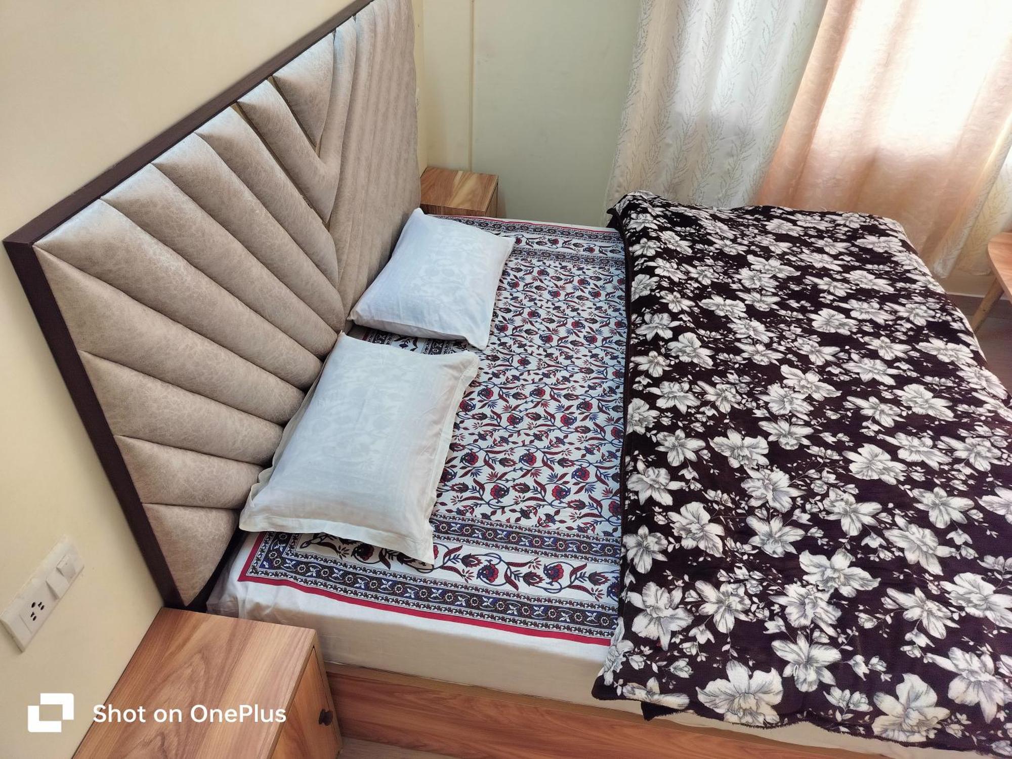 Shimla Vibes B & B Free Pick & Drop From Isbt Шімла Екстер'єр фото